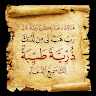 ameer salem