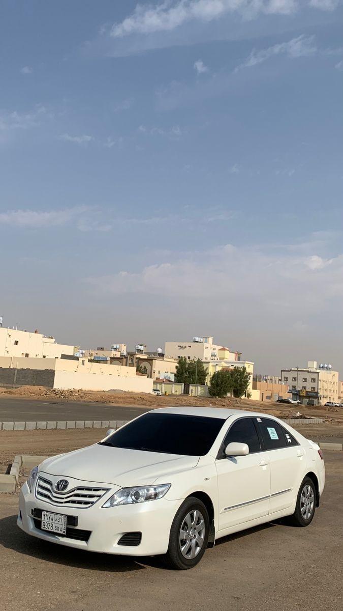 انور علي صايل