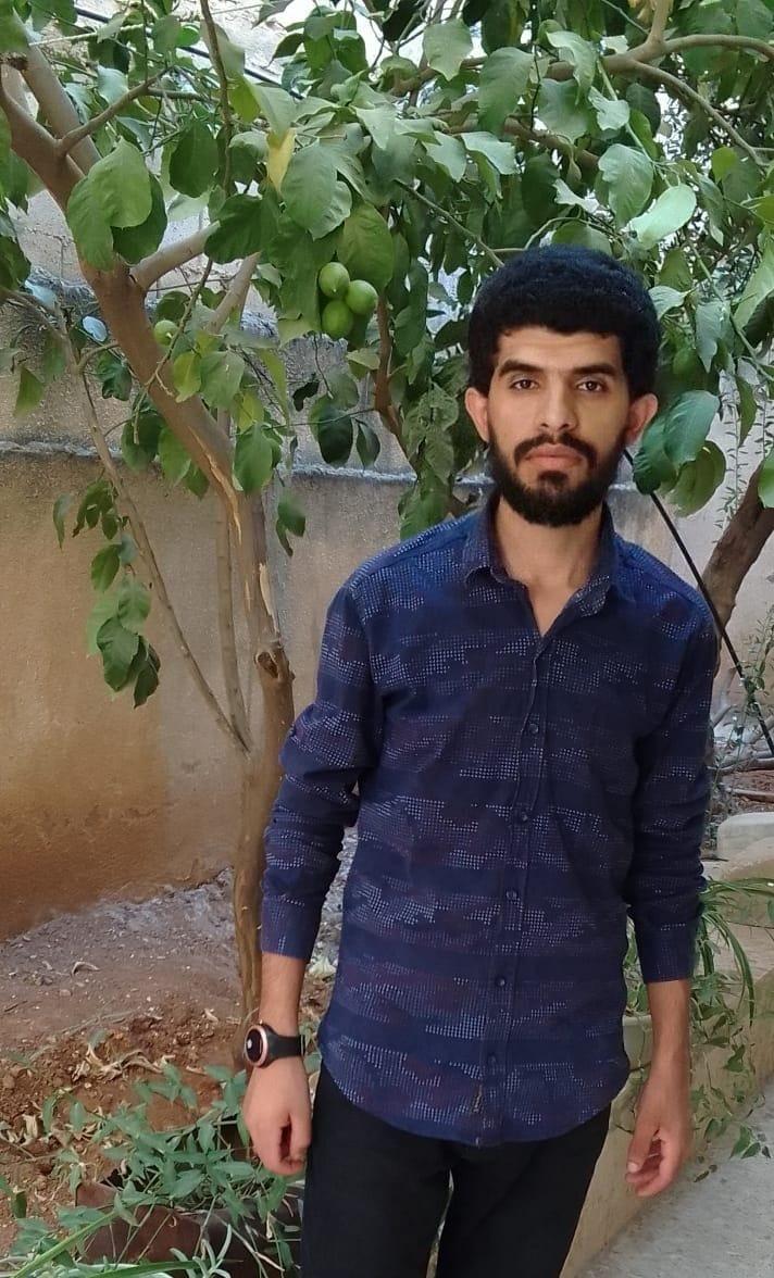 أبو بكر الربيع