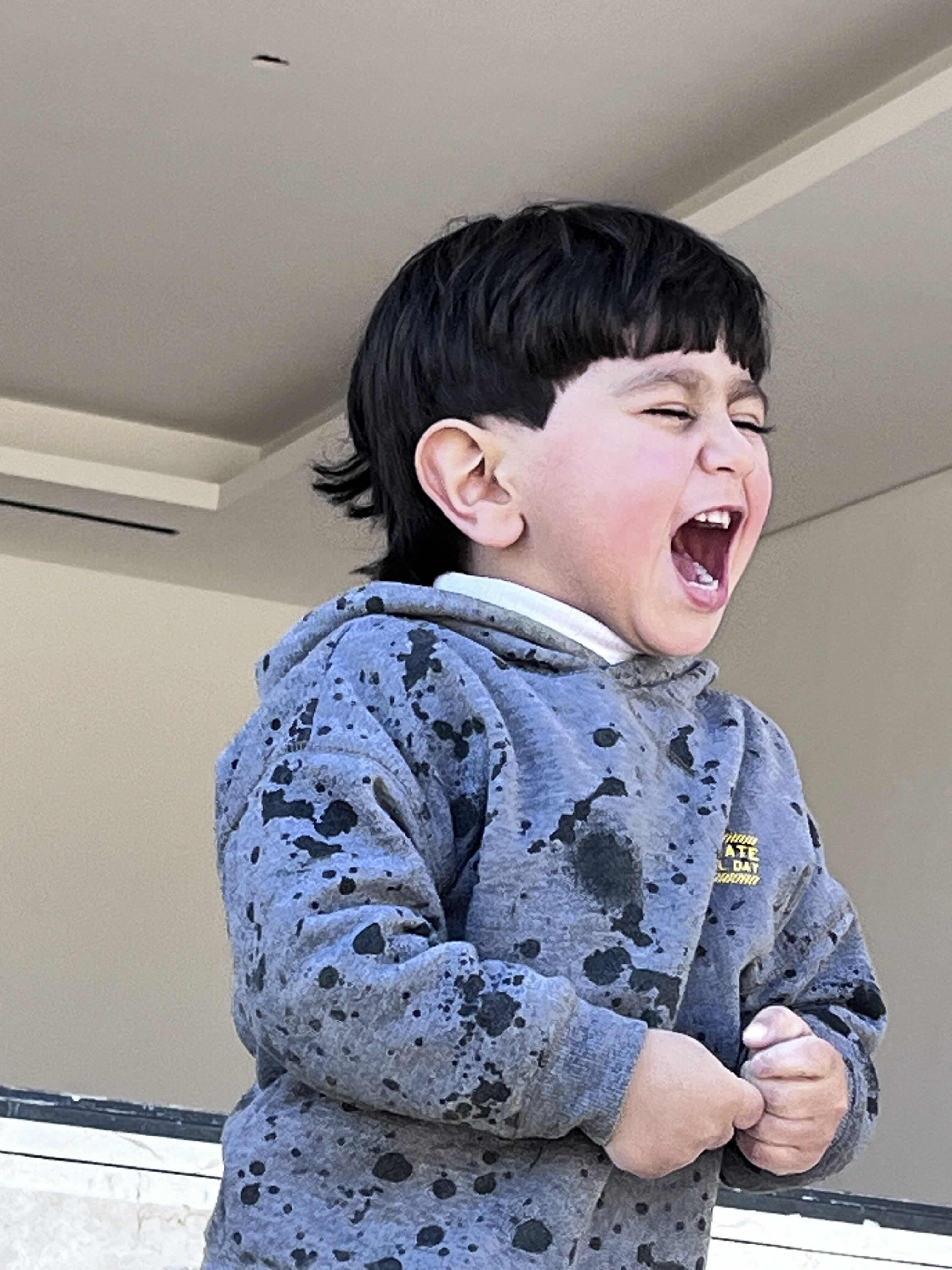 هاني
