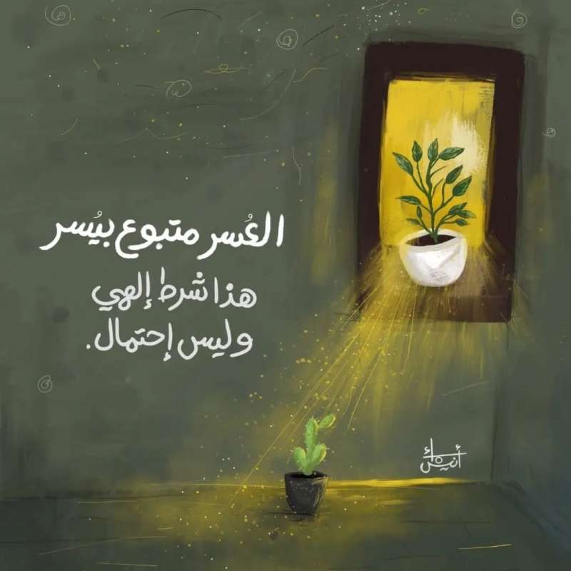 sayeel.jassar197124