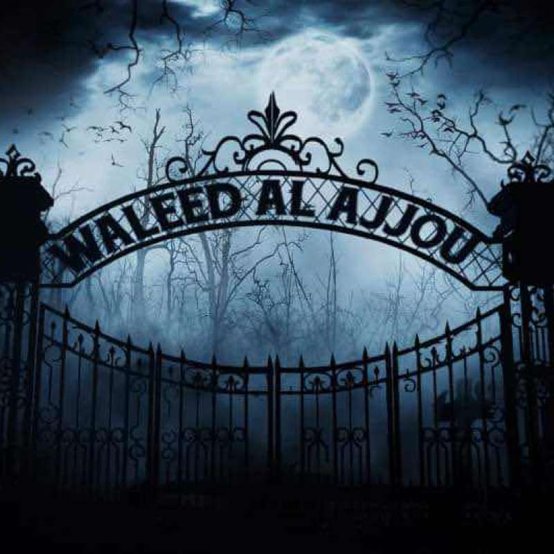 waleedalajo.user32062186