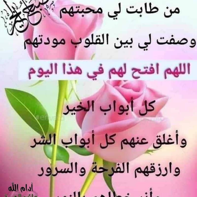 ahmadalmanasir8667027