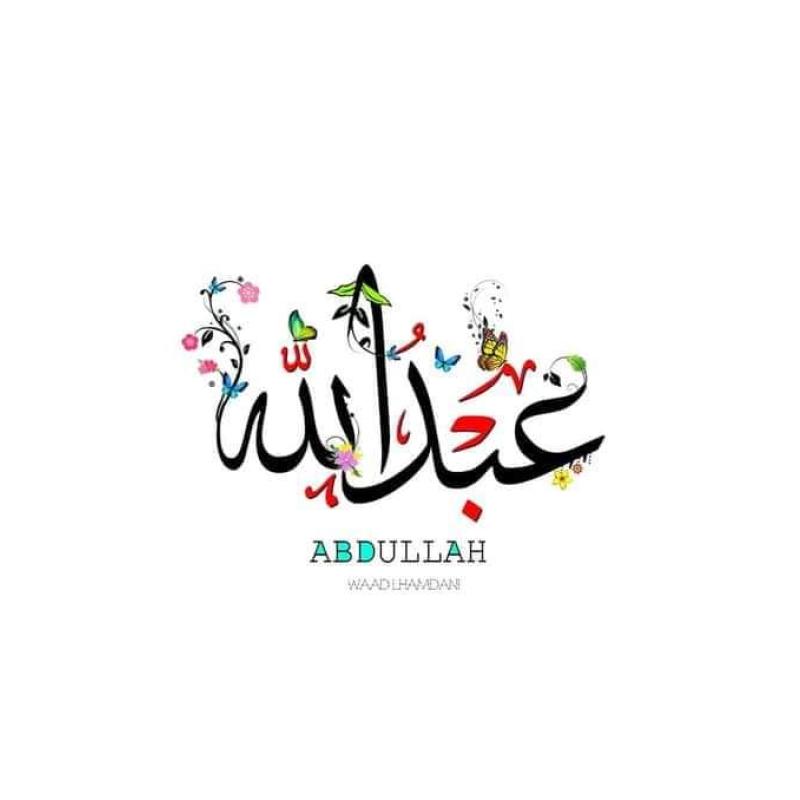 aylaabdallah20749486
