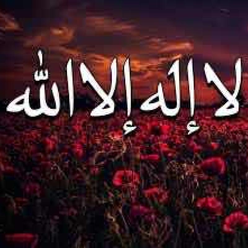 ramigblan199691764005